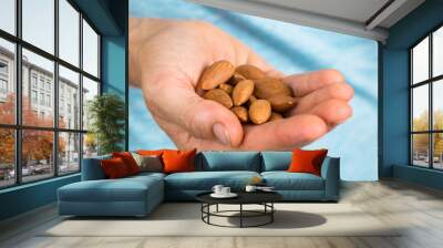 Hand holding almonds Wall mural