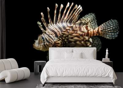 Isolated shot of a Lion fish Wall mural