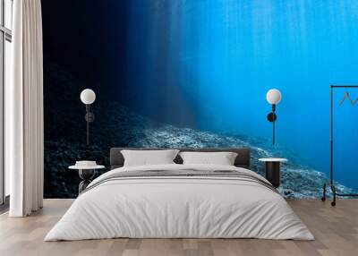 Rays of light at the edge of deep blue sea - Underwater photo Wall mural