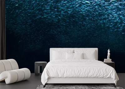 Schools of fish in a panorama photo Wall mural