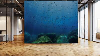 Underwater landscape Wall mural