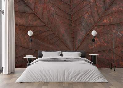 Autumnal Leaves Wall mural