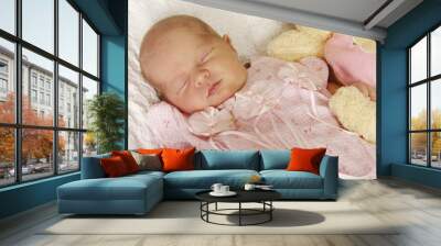 newborn baby girl Wall mural