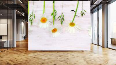 Banner from Daisies on old  white board, header Wall mural