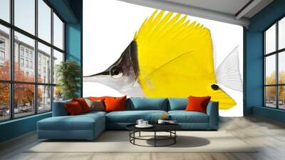 Forceps Fish. PNG masked background.
 Wall mural