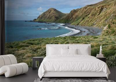 View from Sandy Bay, Macquarie Island, Australia Wall mural