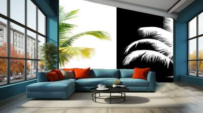 Palm tree isolated on white background. Clipping mask included. Wall mural