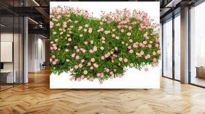 Pink flowers isolated on white. PNG file. Wall mural