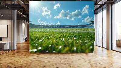 sky blue day sunny stadium pitch football grassy game sport green background nobody grass sunlight outdoors field nature sunshine natural architecture building cloud outside soccer daylight arena da Wall mural