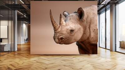 Black Rhinoceros portrait Wall mural