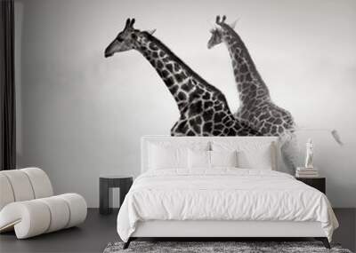 Giraffes fleeing Wall mural