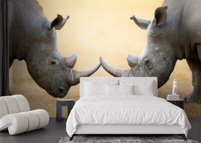 White Rhinoceros  head to head Wall mural