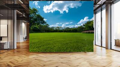 a beautiful garden lawn with a large beautiful blue sky in the background Wall mural