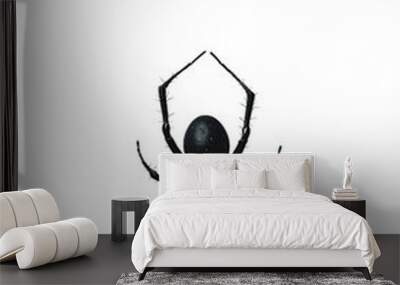 A black spider is hanging from string Wall mural