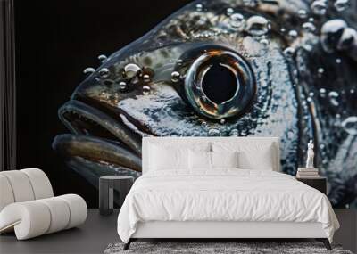 a close up of a fish with bubbles of water on it's face and a black back ground with a black background. Wall mural