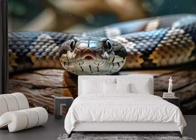 a close up of a snake on top of a piece of wood with a blurry background in the background. Wall mural