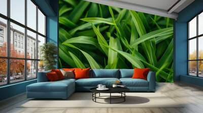 a closeup photo of grass Wall mural