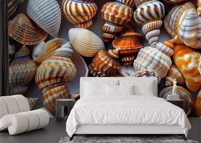 A collection of beautiful natural sea shells AI Wall mural