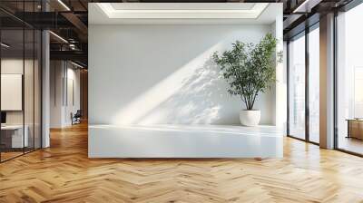 A large white room with a white wall and a white floor. A potted plant is placed in the corner of the room Wall mural