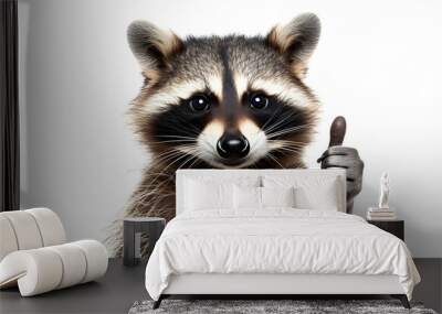 A raccoon giving a thumbs up isolated on white background  Wall mural