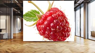 A single ripe raspberry with a stem and leaves isolated on transparent, white background  Wall mural