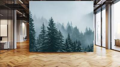 Amazing mystical rising fog forest snow snowy trees landscape snowscape in black forest ( Schwarzwald ) winter, Germany panorama banner - dark mood. Wall mural