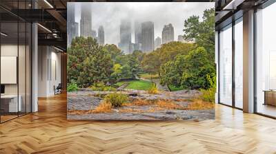 Autumn in Central Park Wall mural