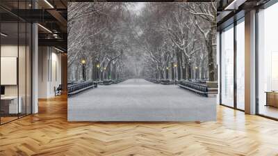 Central Park in winter Wall mural