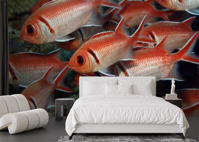 Longspine squirrelfish  Wall mural