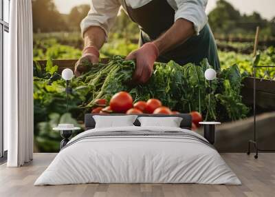 Anonymous chef harvesting fresh vegetables on a farm Wall mural