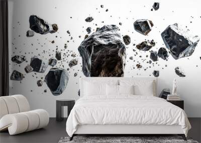 Asteroids are flying isolate on white background Wall mural