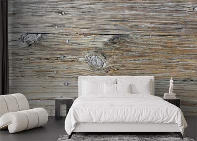 Background texture of grey weathered wood grain Wall mural