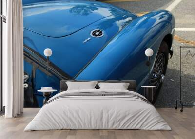 classic car detail Wall mural