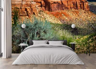 Charm Of The Desert II Wall mural