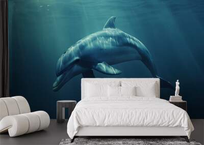 dolphin swimming in the ocean Wall mural