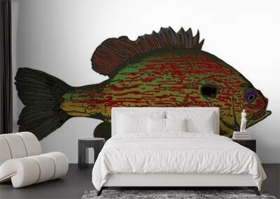 Bream Fish, Crappie, Bluegill Wall mural