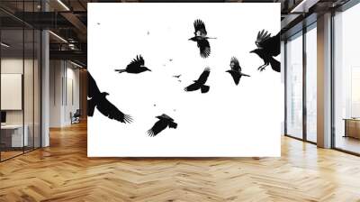 flock of flying crows , png file of isolated cutout object on transparent background.:: Wall mural