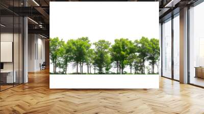 Green Trees isolated on white background Wall mural