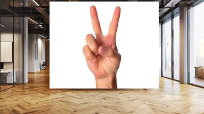 hand showing sign, two, peace, isolated on transparent background, PNG Wall mural