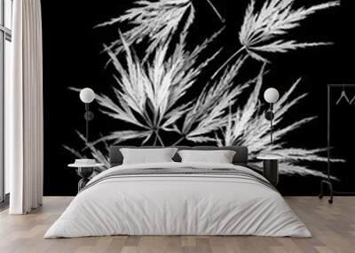 Japanese Maple 2 Wall mural