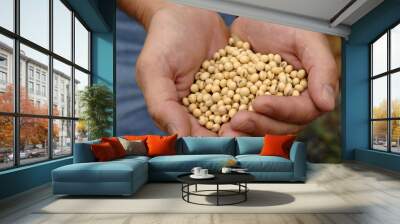 soybeans 2 Wall mural