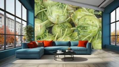 Kohlrabi Wall mural