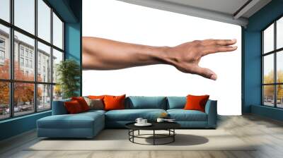 Man hand isolated on white background, clipping path Wall mural