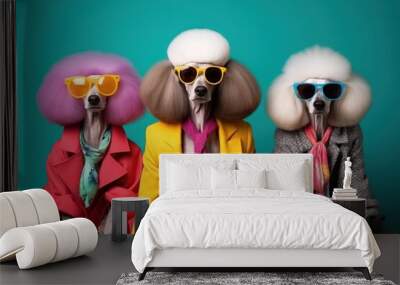 Fashion portrait of a group of dogs wearing colorful clothes and sunglasses. Fashion concept with copy space. Creative animal concept.  Wall mural