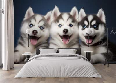 Group of siberian husky puppies with blue eyes on blue background Wall mural