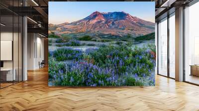 Mt. Saint Helens Wall mural