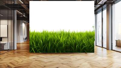 Natural fresh green grass cut out backgrounds 3d rendering Wall mural