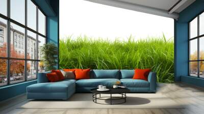 Natural fresh green grass cut out backgrounds 3d rendering Wall mural