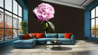 Single Peony bloom Wall mural