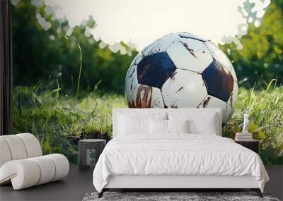 PNG Soccer ball football sports. Wall mural